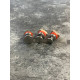 Слайд молоток SG PDR TOOLS в карбоні