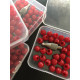 Tip BALL M8 + 30 nozzles in a box