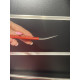 Dismantling shovel rubberized handle