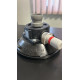 Vacuum suction cup, USA, diameter 12.5 cm